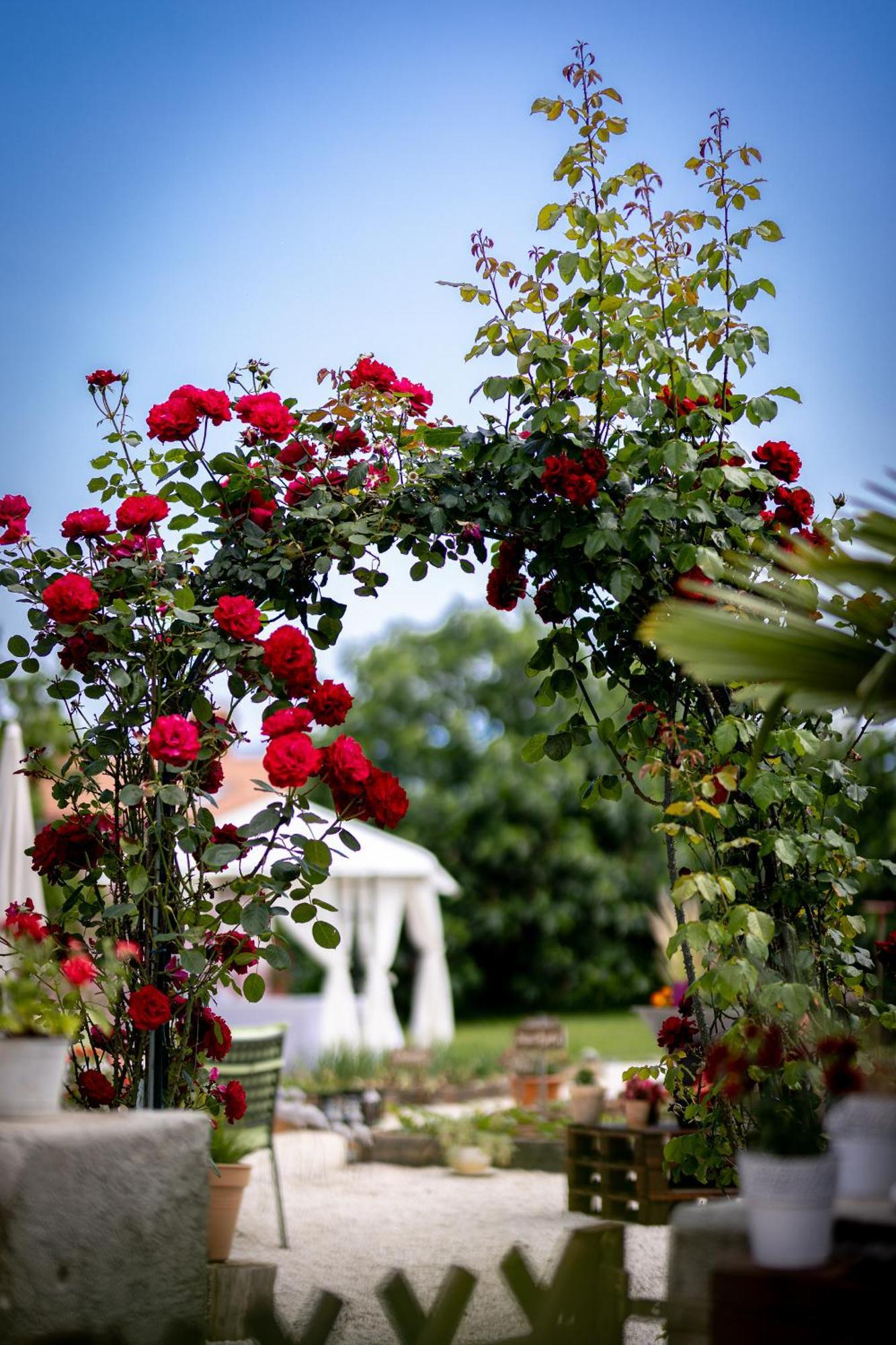 Villa Nada Lovran Bagian luar foto